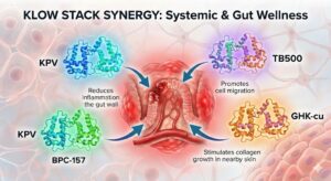 3D medical illustration showing the KLOW peptide stack—KPV, BPC-157, TB-500, and GHK-Cu—repairing a damaged gut lining and extinguishing cellular inflammation.