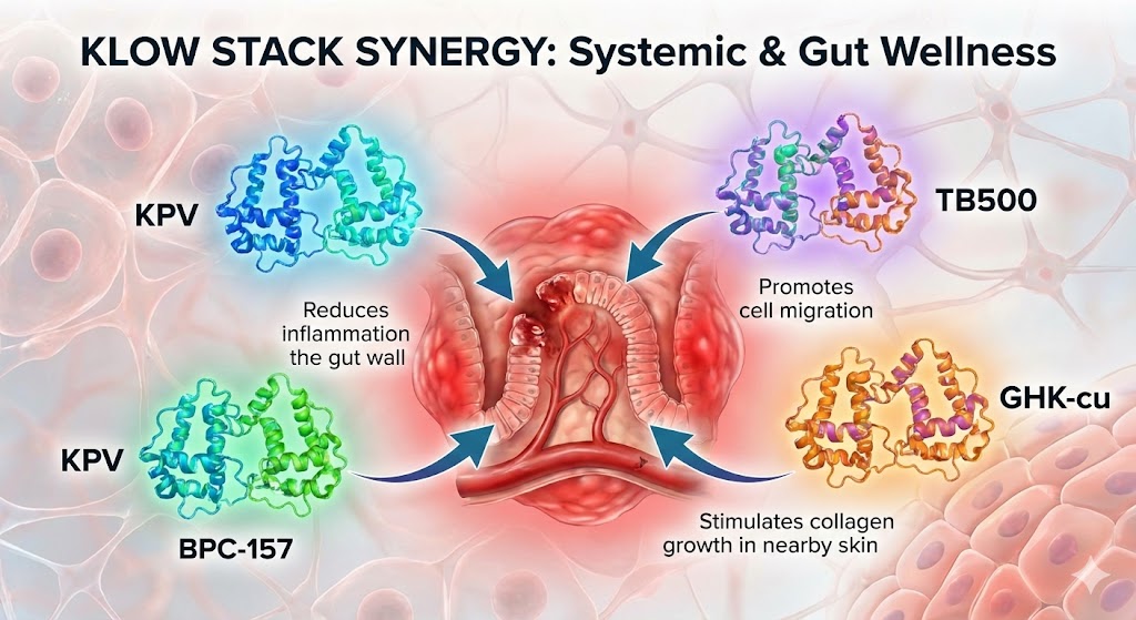 3D medical illustration showing the KLOW peptide stack—KPV, BPC-157, TB-500, and GHK-Cu—repairing a damaged gut lining and extinguishing cellular inflammation.